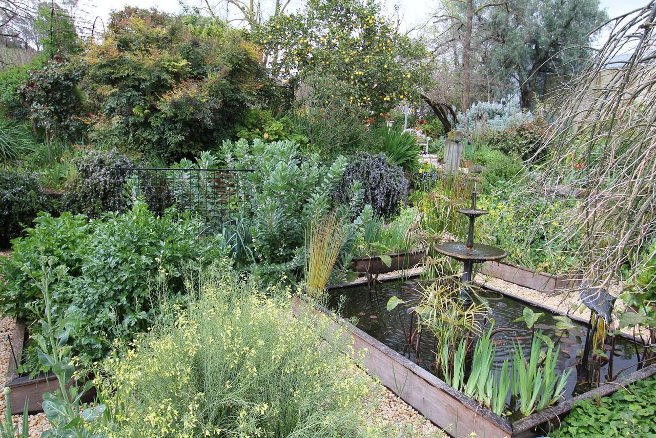 Palm House Bed & Breakfast Maldon Exterior photo